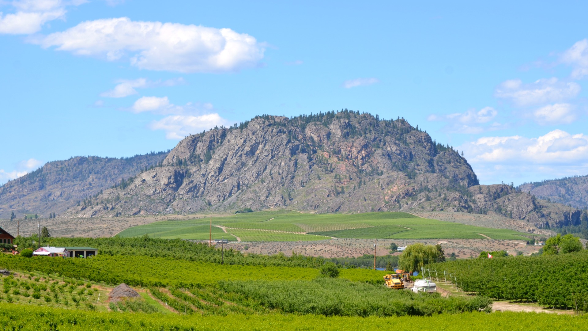 Vineyards and orchards below Peach Cliff near Okanagan Falls, British Columbia