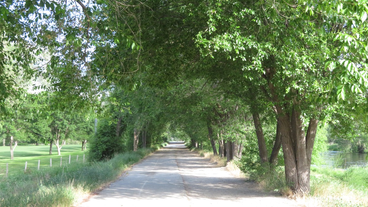 Tree-lined public path beside green space and water in Penticton, British Columbia